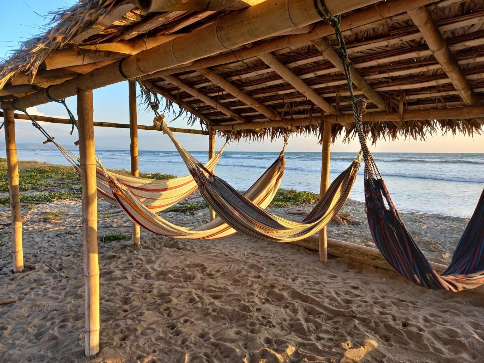 Canoa South Beach Exterior foto